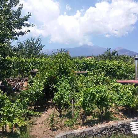 Sorbello dell'Etna Villa Milo Eksteriør bilde