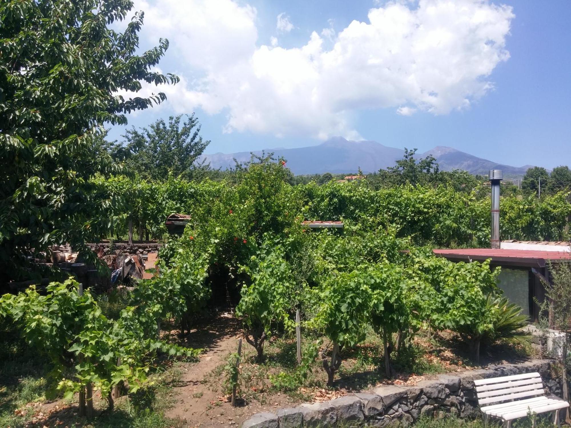Sorbello dell'Etna Villa Milo Eksteriør bilde